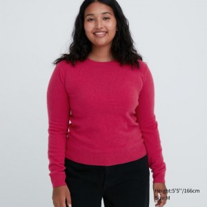 Uniqlo Cashmere Crew Neck Long-Sleeve Pullover Damen Rosa | OUHQ-02574