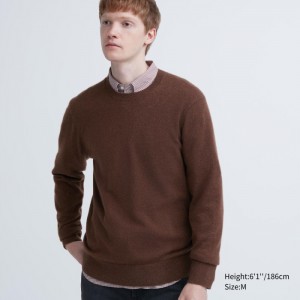 Uniqlo Cashmere Crew Neck Long-Sleeve Pullover Herren Braun | XICT-31964