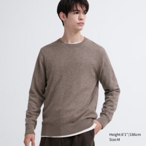 Uniqlo Cashmere Crew Neck Long-Sleeve Pullover Herren Braun | QBCF-83120