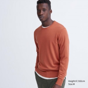 Uniqlo Extra Fine Merino Crew Neck Long-Sleeve Pullover Herren Orange | UILK-25791