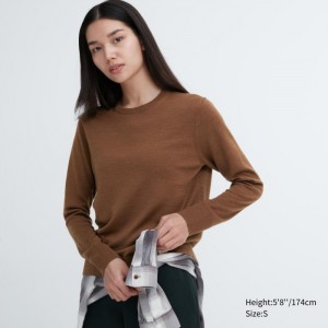 Uniqlo Extra Fine Merino Crew Neck Long-Sleeve Pullover Damen Braun | XIQK-41790