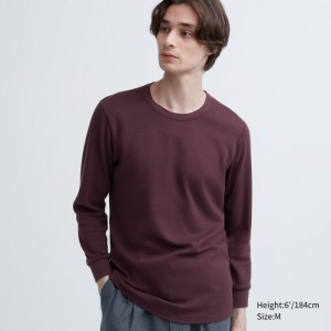 Uniqlo HEATTECH Baumwoll Waffle Crew Neck Long-Sleeve (Extra Warm) T-Shirt Herren Wine | FVIO-81672