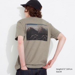 Uniqlo Hokusai UT (Kurzes Sleeve) Graphic T Shirt Damen Beige | YARW-62473