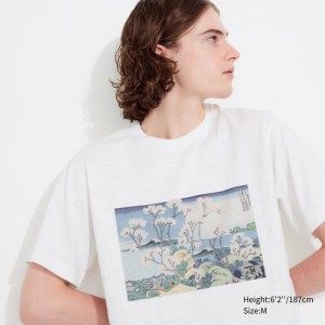 Uniqlo Hokusai UT (Kurzes Sleeve) Graphic T Shirt Damen Weiß | ZLHJ-56382