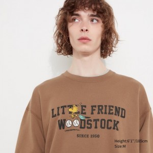 Uniqlo PEANUTS Charlie Brown's Baseball Team Long-Sleeve Sweatshirt Herren Braun | IJGQ-04128