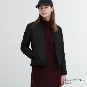 Uniqlo PUFFTECH Gesteppt (Warm Gepolstert) Jacken Damen Schwarz | DNGV-72593