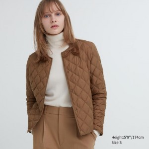 Uniqlo PUFFTECH Gesteppt (Warm Gepolstert) Jacken Damen Braun | NZWV-51024