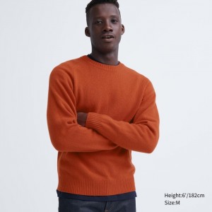 Uniqlo Premium Lambswool Crew Neck Pullover Herren Orange | LWKV-50463