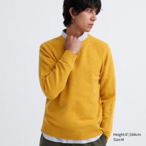 Uniqlo Premium Lambswool Crew Neck Pullover Herren Gelb | DSCI-40586