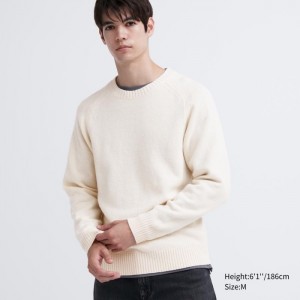 Uniqlo Premium Lambswool Crew Neck Pullover Herren Weiß | QPZG-16782