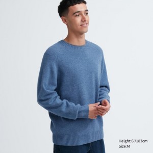 Uniqlo Premium Lambswool Crew Neck Pullover Herren Blau | TSNZ-48750