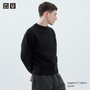 Uniqlo Premium Lambswool Low Gauge Crew Neck Pullover Herren Schwarz | PIYA-87169