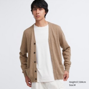 Uniqlo Premium Lambswool V-Neck Strickjacke Herren Beige | ESHP-80145