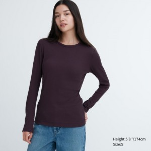 Uniqlo Sheer Jersey Crew Neck Long-Sleeve T-Shirt Damen Wine | TBCQ-09368