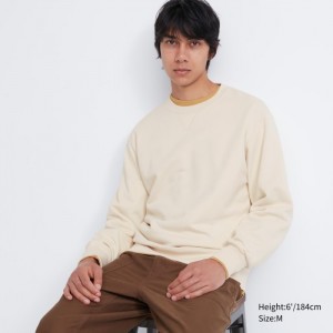 Uniqlo Sweatshirt Damen Natural | VDWI-71298