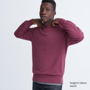 Uniqlo Sweatshirt Herren Lila | TJLP-20975