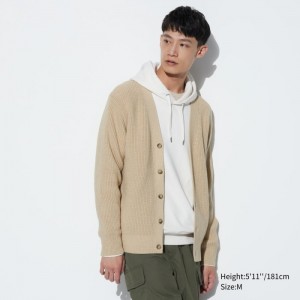 Uniqlo Washable Baumwoll V-Neck Long-Sleeve Strickjacke Herren Beige | JITA-13578