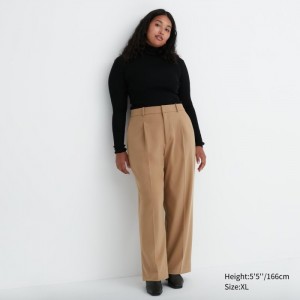 Uniqlo Weite-Fit Falten Hose Damen Beige | LJQM-45312