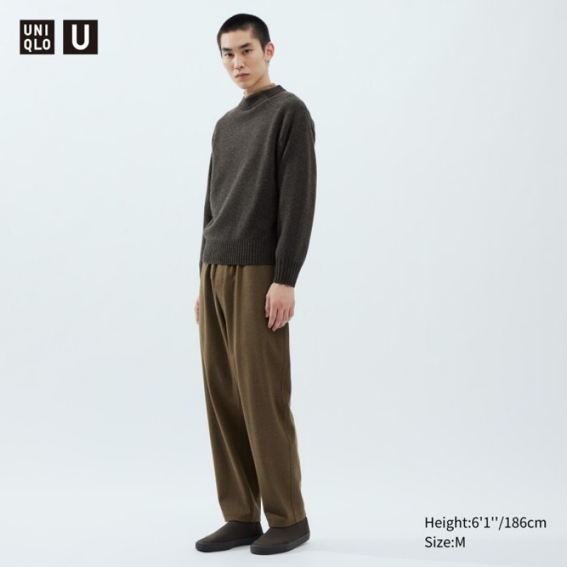 Uniqlo Brushed Jersey Hose Herren Braun | LAUP-76291