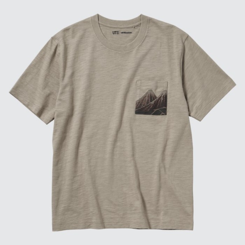 Uniqlo Hokusai UT (Kurzes Sleeve) Graphic T Shirt Damen Beige | YARW-62473