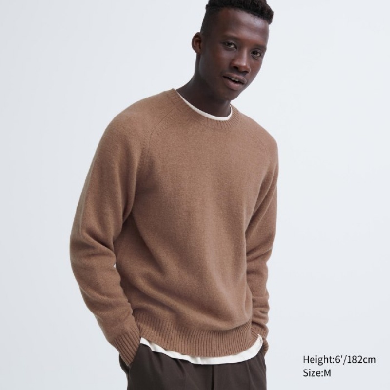 Uniqlo Premium Lambswool Crew Neck Pullover Herren Braun | OYLC-23789