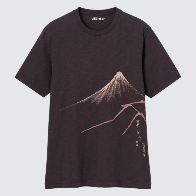 Uniqlo Ukiyo-e UT (Kurzes-Sleeve) Graphic T Shirt Damen Dunkelbraun | ATRD-08714